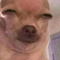 :suspicion: